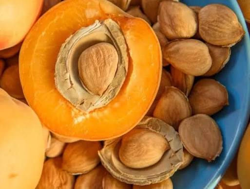 Apricot Kernels